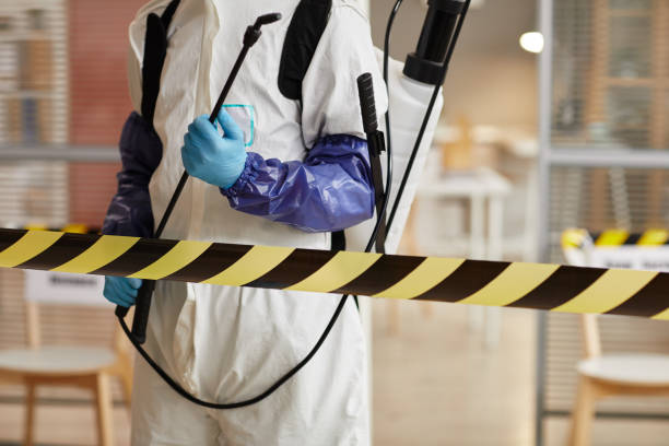 Professional Hoarding Cleanup technician working in Quinault, WA